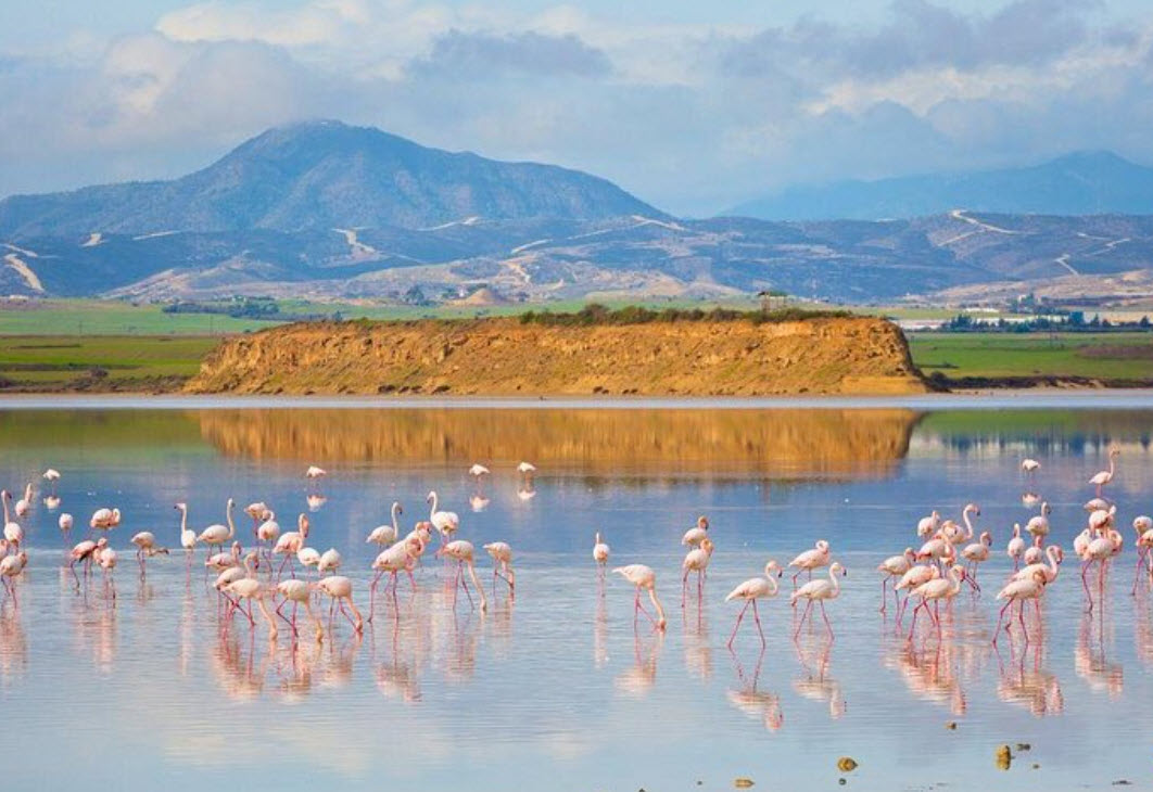 Larnaca Salt Lake, Cyprus